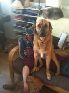 Media_http1bpblogspot_bjxab