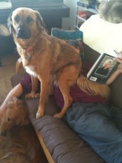 Media_http3bpblogspot_bcesb