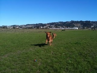 Media_http3bpblogspot_qqejx