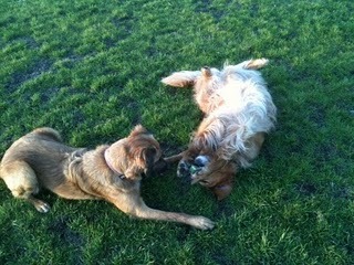 Media_http1bpblogspot_txlbg