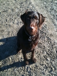 Media_http2bpblogspot_awgdn