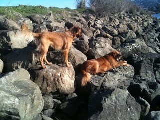 Media_http3bpblogspot_wpjak