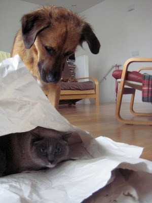 Media_http1bpblogspot_xyxcv