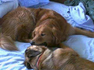 Media_http3bpblogspot_avsed