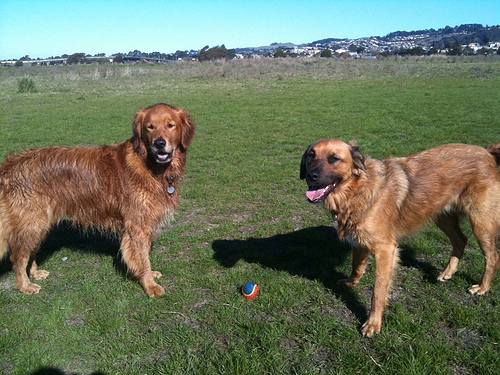 Media_httpfarm5static_gihaa