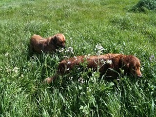 Media_http1bpblogspot_dpotc