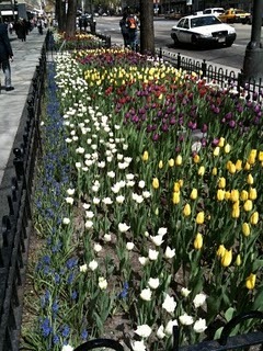 Media_http2bpblogspot_bjbwr