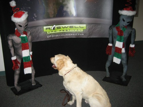 Picture_from_trip_019