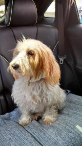 Frankie.jpg.scaled.1000